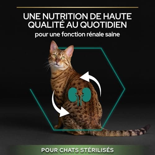 PURINA PRO PLAN | Renal Plus | Cat | Complete Dry Food for Sterilized Adult Cats | Helps Maintain Healthy Kidney Function and Urinary System | Turkey | Bag | 10 kg - Image 6