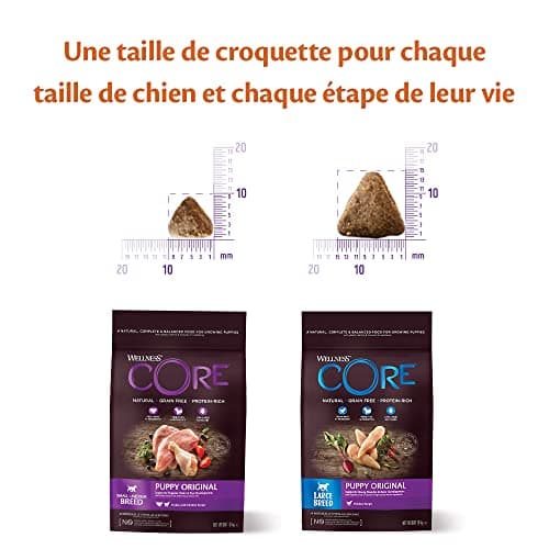 Wellness CORE Puppy 10 kg, Chicken/Turkey - Small / Medium Puppy Food Grain Free Natural Hypoallergenic High Protein High Meat Eye & Brain Develops - Image 7