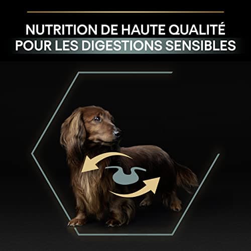PURINA PRO PLAN | Sensitive Digestion | Complete Dry Food for Small Adult Dogs | Promotes a Healthy Digestive System | Rich in Lamb | Bag | 3 kg - Image 8