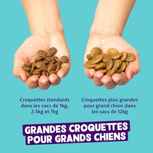 Edgard & Cooper Puppy Dry Food (Salmon & Turkey, 2.5kg), Grain Free, Fresh Meat and Fish and Quality Protein, Real Ingredients for Dogs, Hypoallergenic, No Added Sugars - Image 7