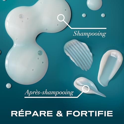 OGX | Shampooing Réparateur Huile d'Argan du Maroc (flacon de 385 ml) – Soin capillaire pour cheveux secs et abîmés – Shampoing sans sulfate - Image 8