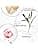 KÉRASTASE Genesis Nourishing & Anti-Breakage Routine for Fragile Hair - Hydra-Fortifying Bath Shampoo + Replenishing Mask + Fortifying Anti-Loss Serum - Image 7