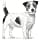 Royal Canin Veterinary Anallergenic Small Dogs | 1.5 kg | Complete Dietary Food for Small Dogs | May Help Reduce Risk of Nutritional Intolerance - Image 4