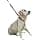 Kerbl Dog Harness Maxi Leader 45-60 cm Black - Image 2
