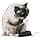 Royal Canin Hairball Care | 2kg | Dry Food for Adult Cats Prone to Hairballs | Recommended for Reducing Hairballs | To Stimulate Intestinal Transit - Image 5
