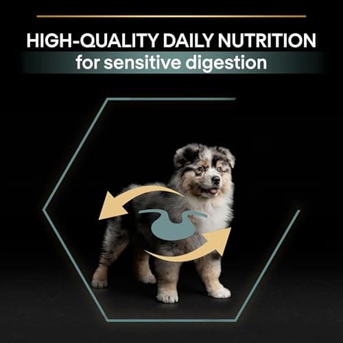 PURINA PRO PLAN | Sensitive Digestion | Complete Dry Food for Medium Puppies | Promotes a Healthy Digestive System | Rich in Lamb | Dry Food | 12 kg Bag - Image 9