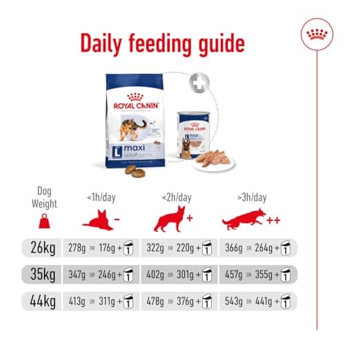 Royal Canin - Nourriture pour chien adulte - 4 kg - Image 7