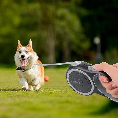 Edipets, Retractable Dog Lead, 5 and 8 Metres, Flexible Lead for Training and Walking (Grey, 8 m) - Image 8