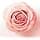 Pantene Biotin and Rose Water Thickening Conditioner, Lift & Volume, XL with Pump, 1000 ml - Image 7