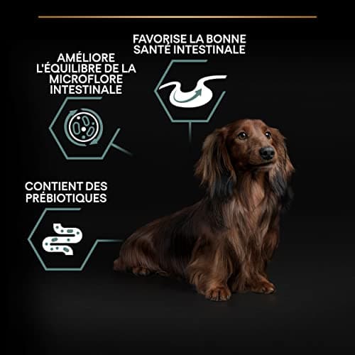 PURINA PRO PLAN | Sensitive Digestion | Complete Dry Food for Small Adult Dogs | Promotes a Healthy Digestive System | Rich in Lamb | Bag | 3 kg - Image 5
