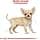 Royal Canin Chihuahua Junior 1.5 kg - Image 4