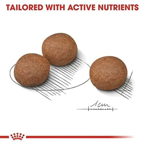 Royal Canin - Medium Digestive Care Dry Food - Bag of 12 kg - Image 4