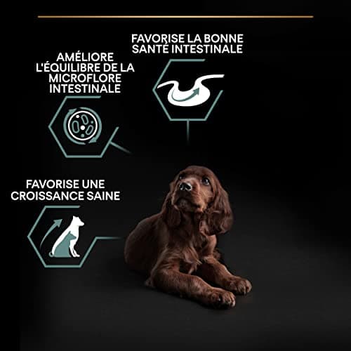 PURINA PRO PLAN | Sensitive Digestion | Complete Dry Food for Large Puppies & Athletic Building | Promotes a Healthy Digestive System | Rich in Lamb | Dry Food | 12 kg Bag - Image 4