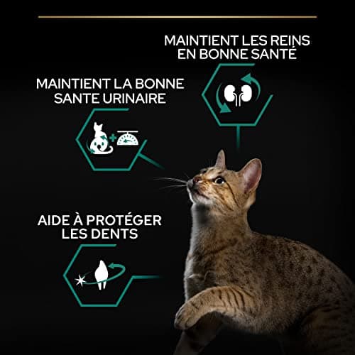 PURINA PRO PLAN | Renal Plus | Cat | Complete Dry Food for Sterilized Adult Cats | Helps Maintain Healthy Kidney Function and Urinary System | Salmon | Bag | Pack of 4 x 3 kg - Image 8