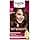 Schwarzkopf Palette, Permanent Hair Colour, Care Cream, Covers 100 % of White Hair, Lasts 8 Weeks, Light Golden Chestnut 655, 1 Unit - Image 4