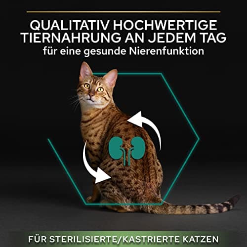 PURINA PRO PLAN | Renal Plus | Cat | Complete Dry Food for Sterilized Adult Cats | Helps Maintain Healthy Kidney Function and Urinary System | Salmon | Bag | Pack of 6 x 1.5 kg - Image 7