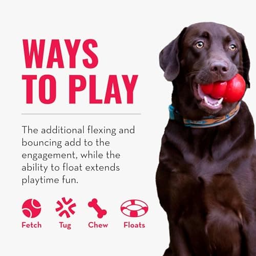 KONG - SafeStix - Sturdy and Flexible Fetch Toy with Safe, Durable Material - For Small Dogs - Image 6