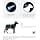 FRONTLINE Spot-On Dog Fleas, Ticks & Lice Crushers - Protects for 8 Weeks Against Fleas/4 Weeks Against Ticks - For Small Dogs 2 to 10 kg - Made in France - 6 Pipettes - Image 3