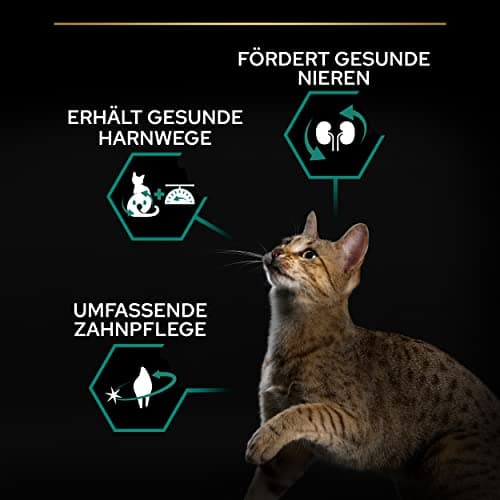 PURINA PRO PLAN | Renal Plus | Cat | Complete Dry Food for Sterilized Adult Cats | Helps Maintain Healthy Kidney Function and Urinary System | Salmon | Bag | Pack of 6 x 1.5 kg - Image 6