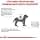Royal Canin Veterinary Hypoallergenic Puppy | 1.5 kg | Complete Dietary Food for Puppies | May Help Reduce Risk of Nutritional Intolerance | With Rice - Image 8