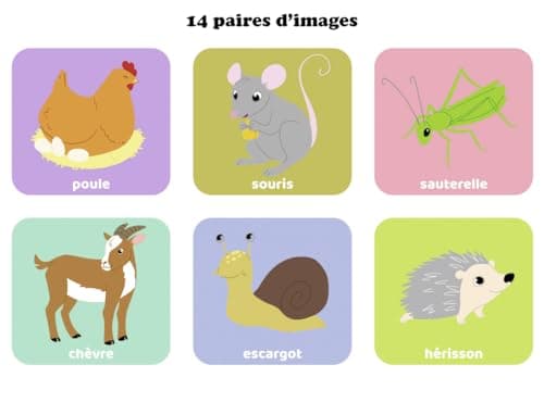 Ravensburger - Educational Game - Lotto - Pets - A First Educational Game Mixing Observation, Association and Memorization - From 2 Years - 24145 - Image 6