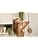 Champ S Lido Christophe Robin 100g Aloe Vera - Image 6