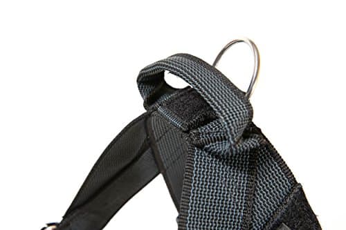 Julius-K9, IDC Color & Gray Strap Harness, Size: 0, Black-Grey - Image 4