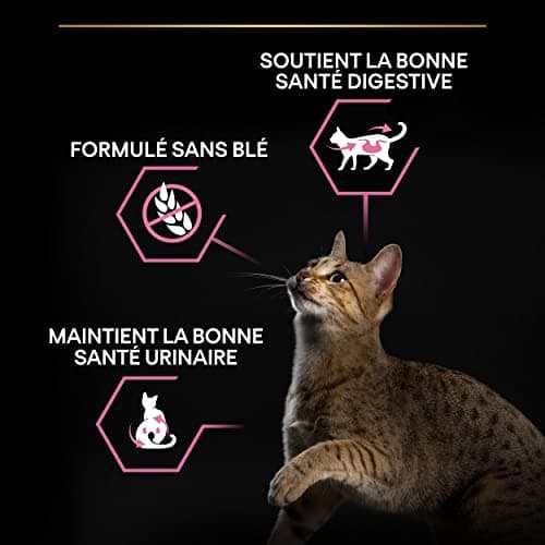 PURINA PRO PLAN | Adult DELICATE DIGESTION | Complete Food for Sterilized Adult Cats | Promotes a Healthy Digestive System | Dry Food | Chicken | Bag | 10 kg - Image 5