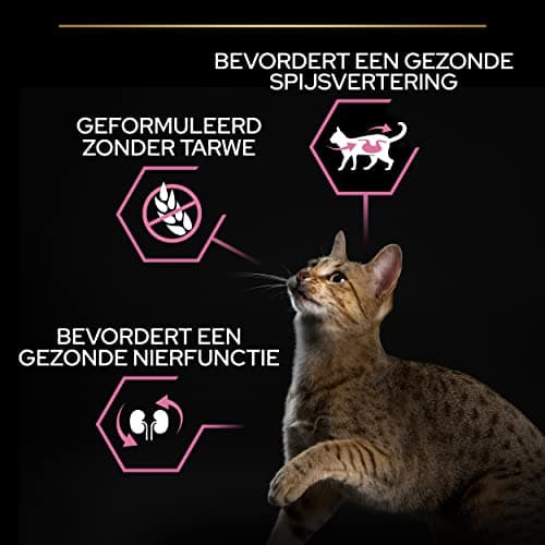 PURINA PRO PLAN | Adult DELICATE DIGESTION | Complete Food for Adult Cats | Promotes a Healthy Digestive System | Dry Food | Turkey | Bag | 10 kg - Image 7