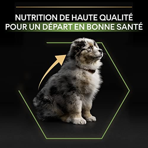 PURINA PRO PLAN | Healthy Start | Medium Puppy Food | Strengthens Puppy's Natural Defences | Rich in Chicken | 12 kg Bag - Image 8