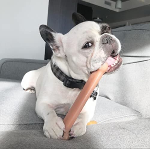Nylabone Dura Heavy Duty Chew Toy, Bacon Aroma Chew Toy for Extreme Chewing Dogs, Large, Fits Large Dogs up to 23 Kilograms - Image 3