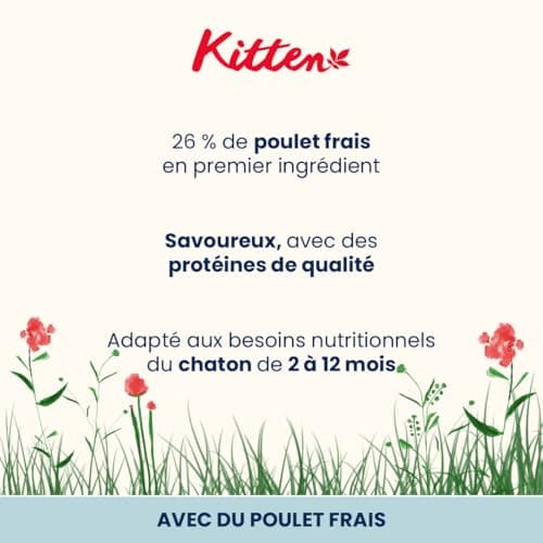 Almo Nature Kitten - Kitten Dry for Kittens with Fresh Chicken - For Balanced Growth of 2 to 12 Months, Suitable for Gestation and Breastfeeding - 400 g Bag - Image 4
