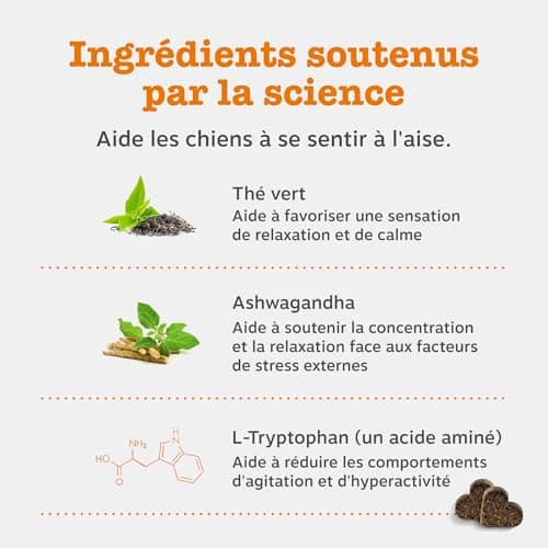 Zesty Paws Calming - Complément pour Chien sous Forme de friandise - Anti Stress - calmant - Hyperactivité - Ashwagandha, Thé Vert et L-Tryptophane - 90 Unités - Image 7