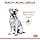 ROYAL CANIN - Labrador Adult Dry Food 5+ - Bag of 12 kg - Image 4