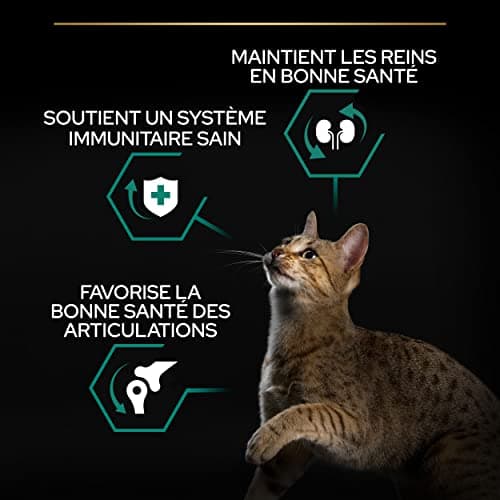 PURINA PRO PLAN | Renal Plus | Cat | Complete Dry Food for Sterilized Adult Cats | Helps Maintain Healthy Kidney Function and Urinary System | Chicken | Bag | Pack of 6 x 1.5 kg - Image 4