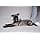 Julius-K9 Power&More Dog Harness, Size: XS, Night Camo - Image 5