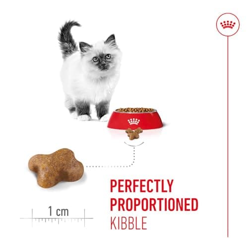 Royal Canin - Kitten 400 GR - Image 5