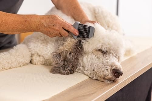 Wahl Premium Crade Brush - Image 4
