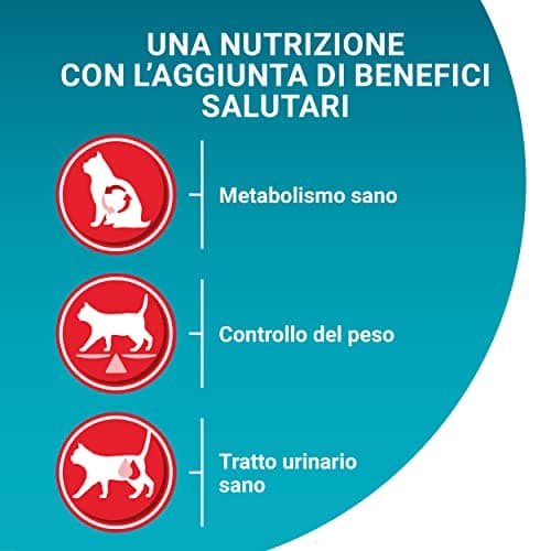PURINA ONE | Benefits | Sterilized Adult Cat | Dry Food | Helps maintain a strong immune system | Beef & Whole Grain | Bag | 9.7 kg - Image 6