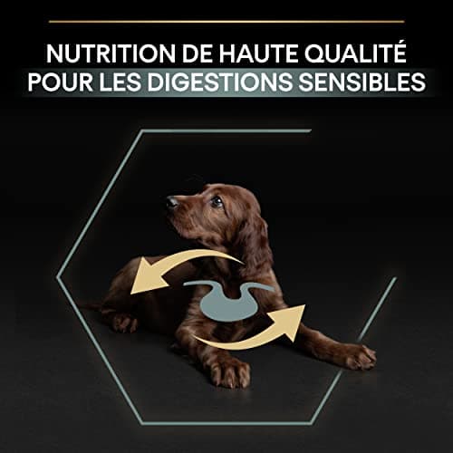 PURINA PRO PLAN | Sensitive Digestion | Complete Dry Food for Large Puppies & Athletic Building | Promotes a Healthy Digestive System | Rich in Lamb | Dry Food | 12 kg Bag - Image 7