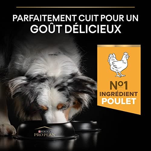 PURINA PRO PLAN | Light/Sterilized | Adult Dog | All Sizes | Protein Dry Food | Chicken | Promotes Weight Management | Bag | 7 kg - Image 6