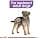 Royal Canin Royal Canin Flow Mini Sterilised Dog Bag 1kg - 1000 g - Image 7