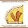Nylabone Aggressive Chewing Dental Bone/Shish Kebab/Chicken Jerky Flavour/for Adult Dogs Weighing More than 23 kg1 Unit - Image 7