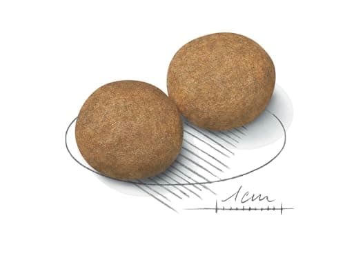 ROYAL CANIN® Croquettes pour chiens adultes de taille moyenne 4 kg - Image 6