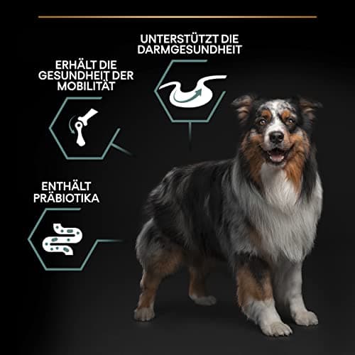 PURINA PRO PLAN | Sensitive Digestion | Complete Dry Food for Medium Adult Dogs | Promotes a Healthy Digestive System | Rich in Lamb | Dry Food | Bag | Pack of 4 x 3 kg - Image 7