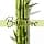 Pantene Grow Strong Conditioner 275ml - Image 4