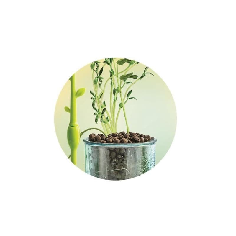 Clementoni | Science & Game: Mini Greenhouse – Botanical Kit for Children 7 Years+ | Assembling Greenhouse with Pots, Peat, Seed | Scientific Educational Game to Discover Botany | Gift Idea - Image 6