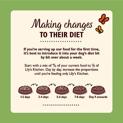 Lily's Kitchen Canned Natural Wet Food for Adult Dogs, Classic Recipes, Multipack (12 x 400 g Canned) - Image 8