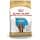 ROYAL CANIN COCKER JUNIOR 3 kg Bag for Cocker Puppies from 2 to 12 Months - Image 2