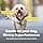PetSafe 3 in 1 Harness with Two-Point Control Lead - Anti-Pull Harness - S - Black - Adjustable - Image 5